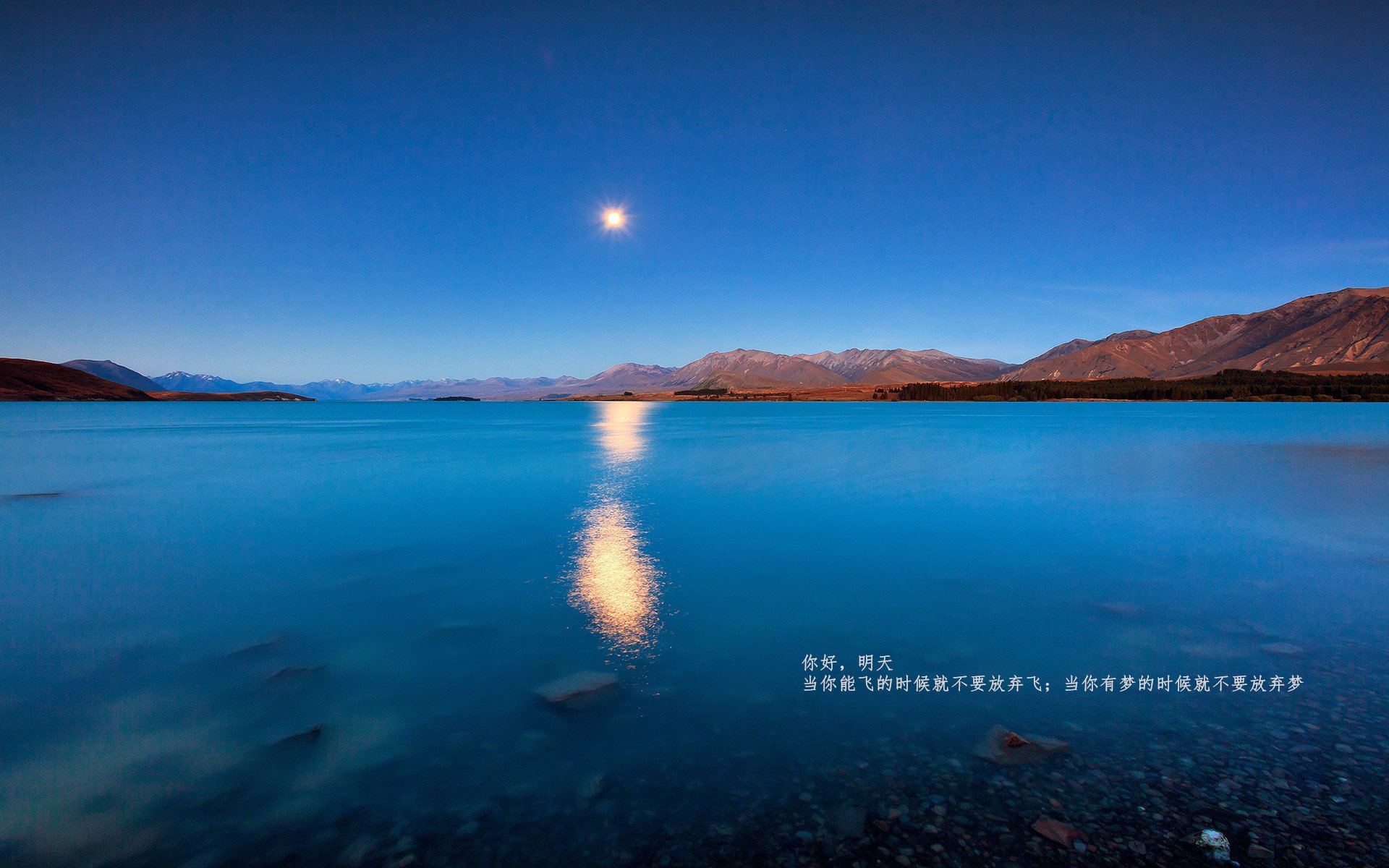 _凯尔特人攻防两端强势,持续领跑联盟_,凯尔特人战术