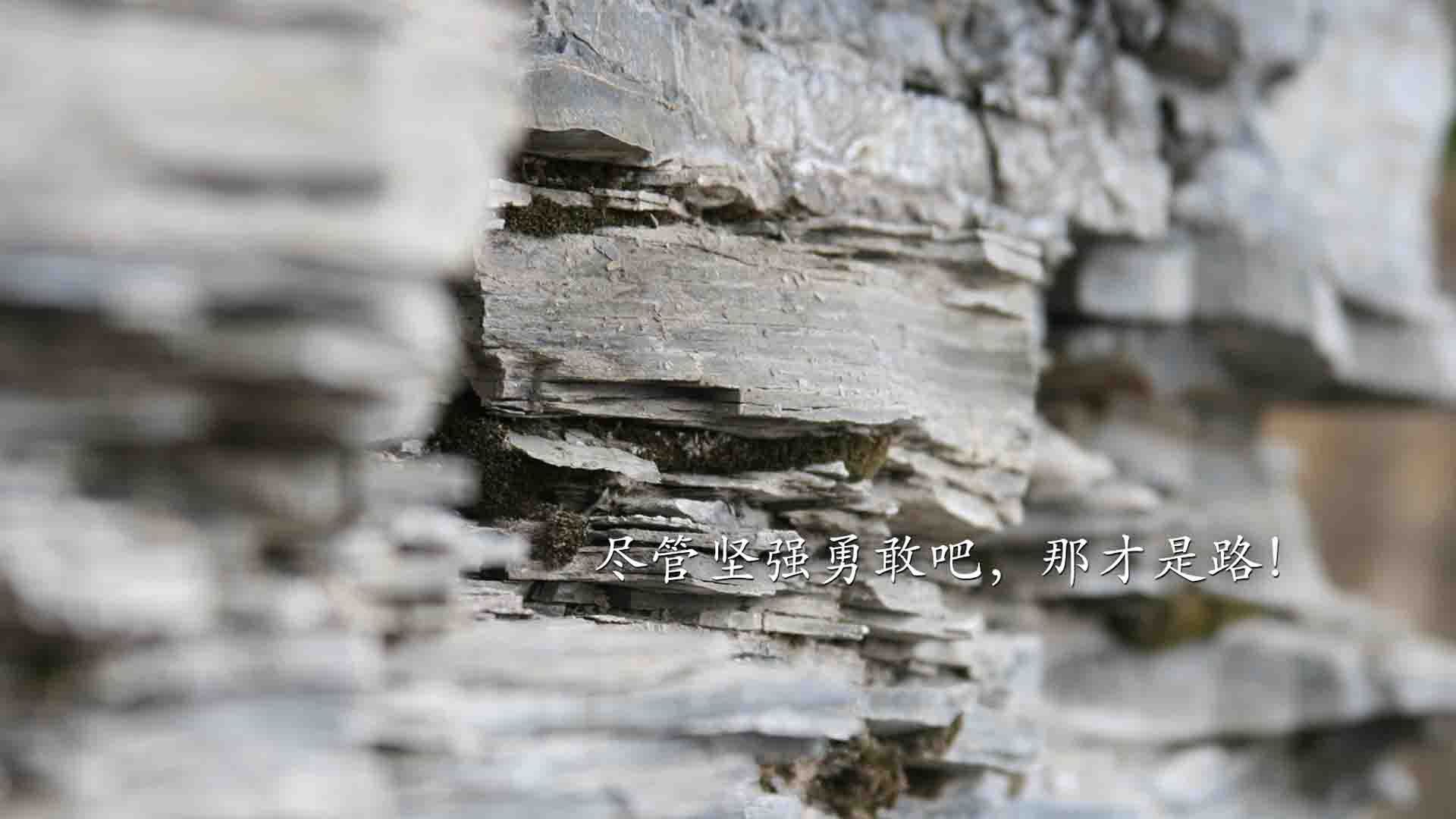 _珍贵比赛瞬间集锦:历史性胜利瞬间回顾_,珍贵无比的比赛录像