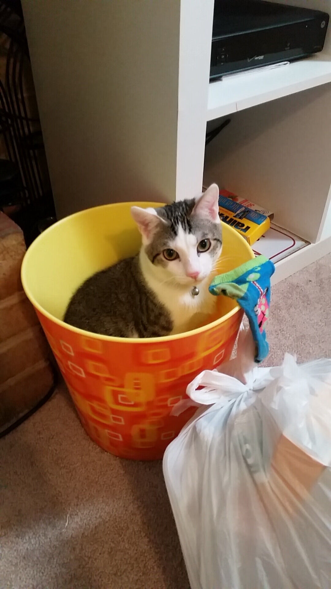 “裁判判罚引争议，中超比赛中遇到的挑战”，中超裁判要求