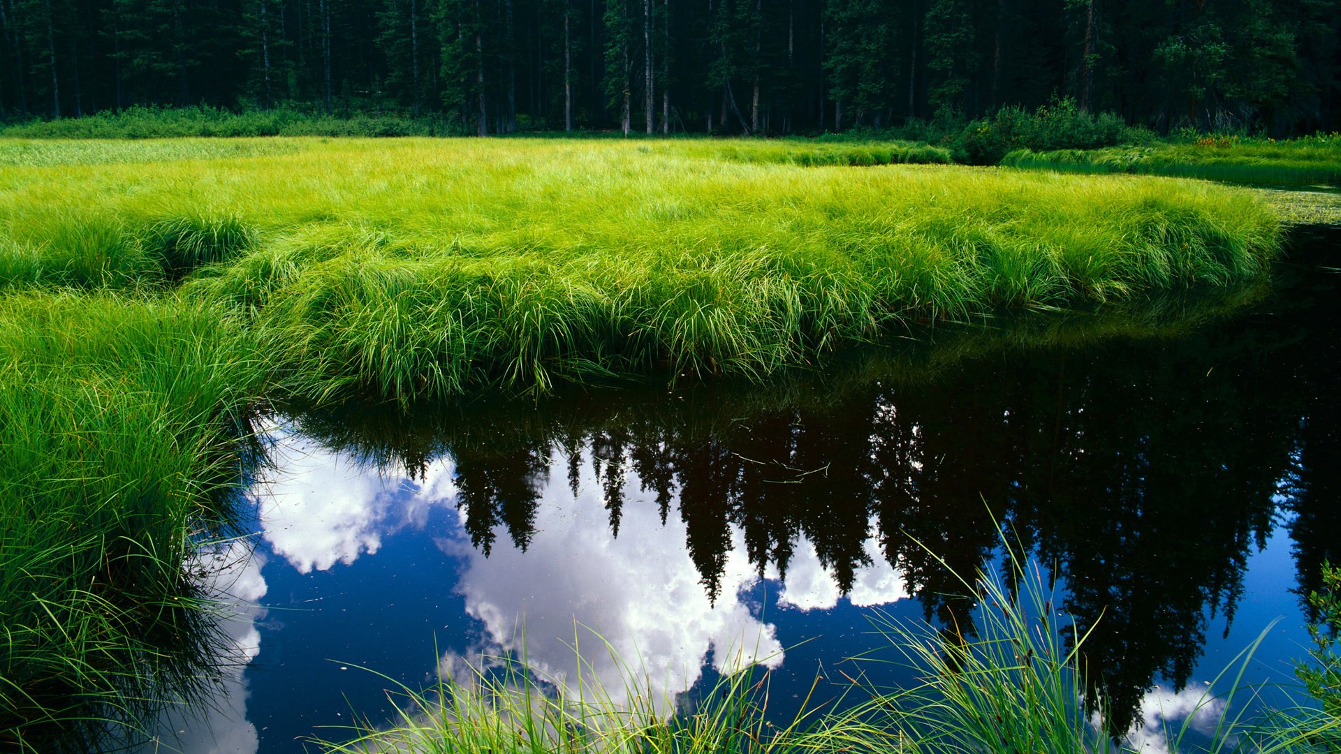 【逆转思考】球队X的战术调整背后逻辑，球队战术怎么设置