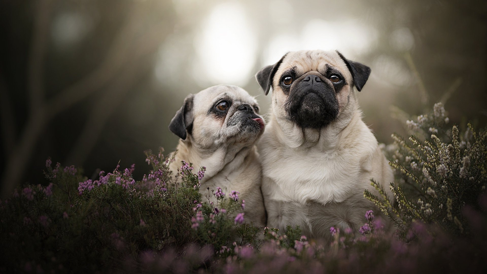 【逆转瞬间】经典比赛中运动员用战术折服对手的精彩场景，十大经典逆转赛事