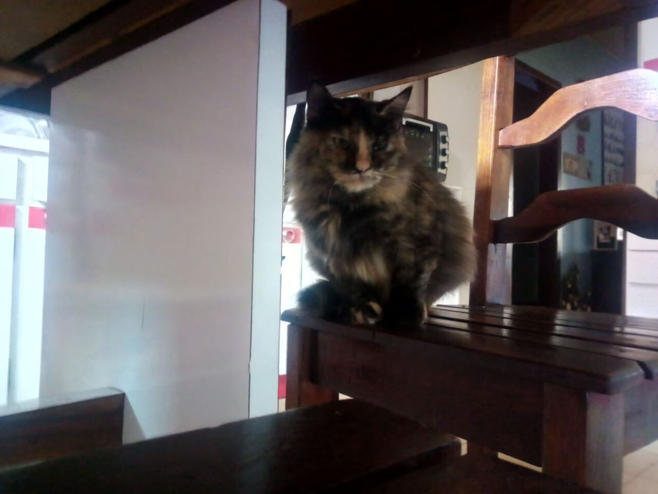 团队配合:北京队助攻达到23次,传球极为流畅!,北京队比赛