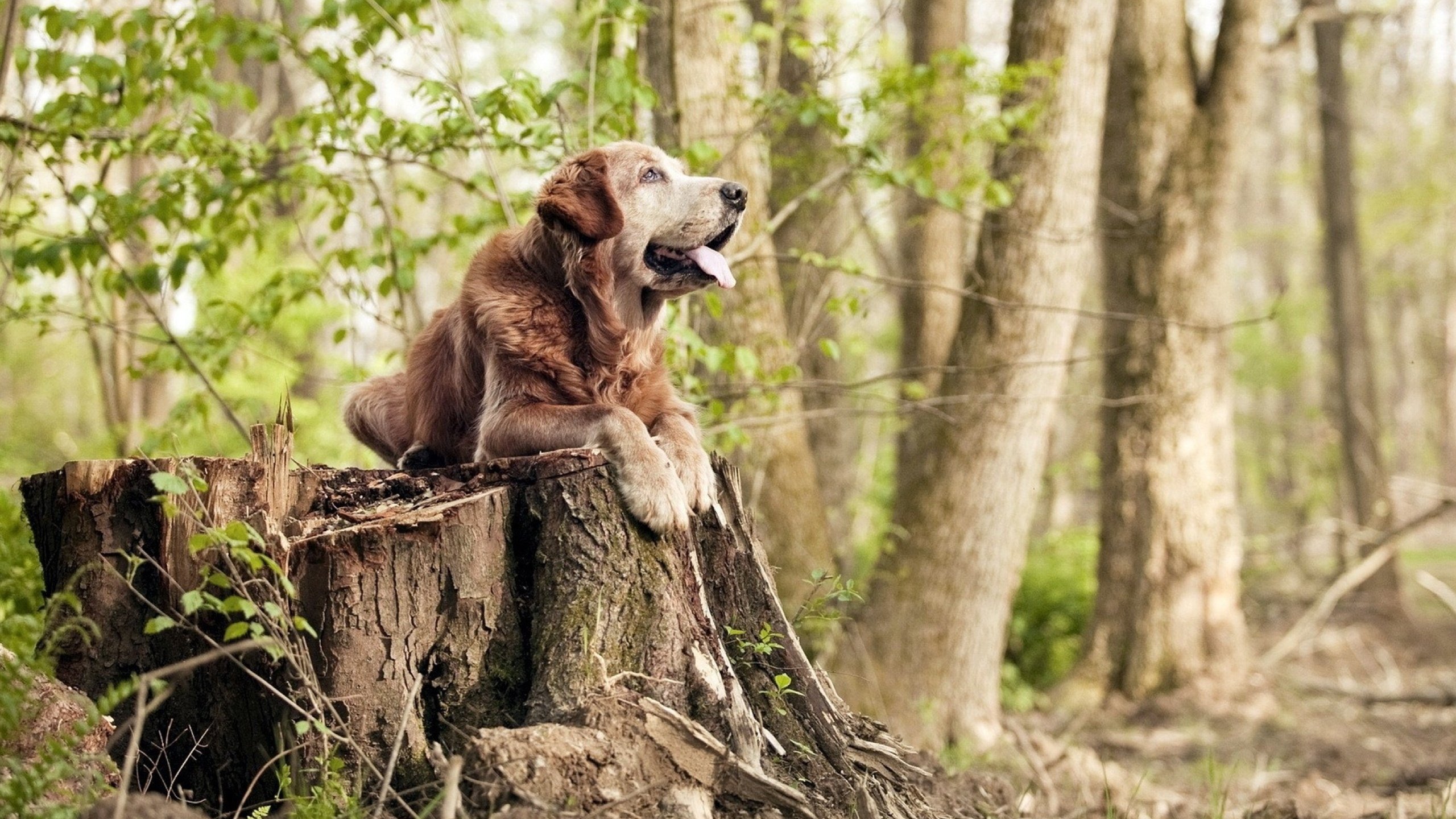 最令人难忘的比赛终点瞬间，最难忘的一场比赛作文500字