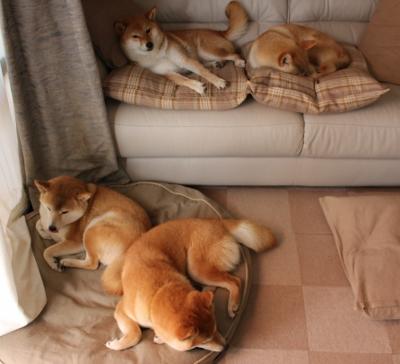 篮球公益训练营深入乡村学校普及篮球,暑期篮球训练营招生简章