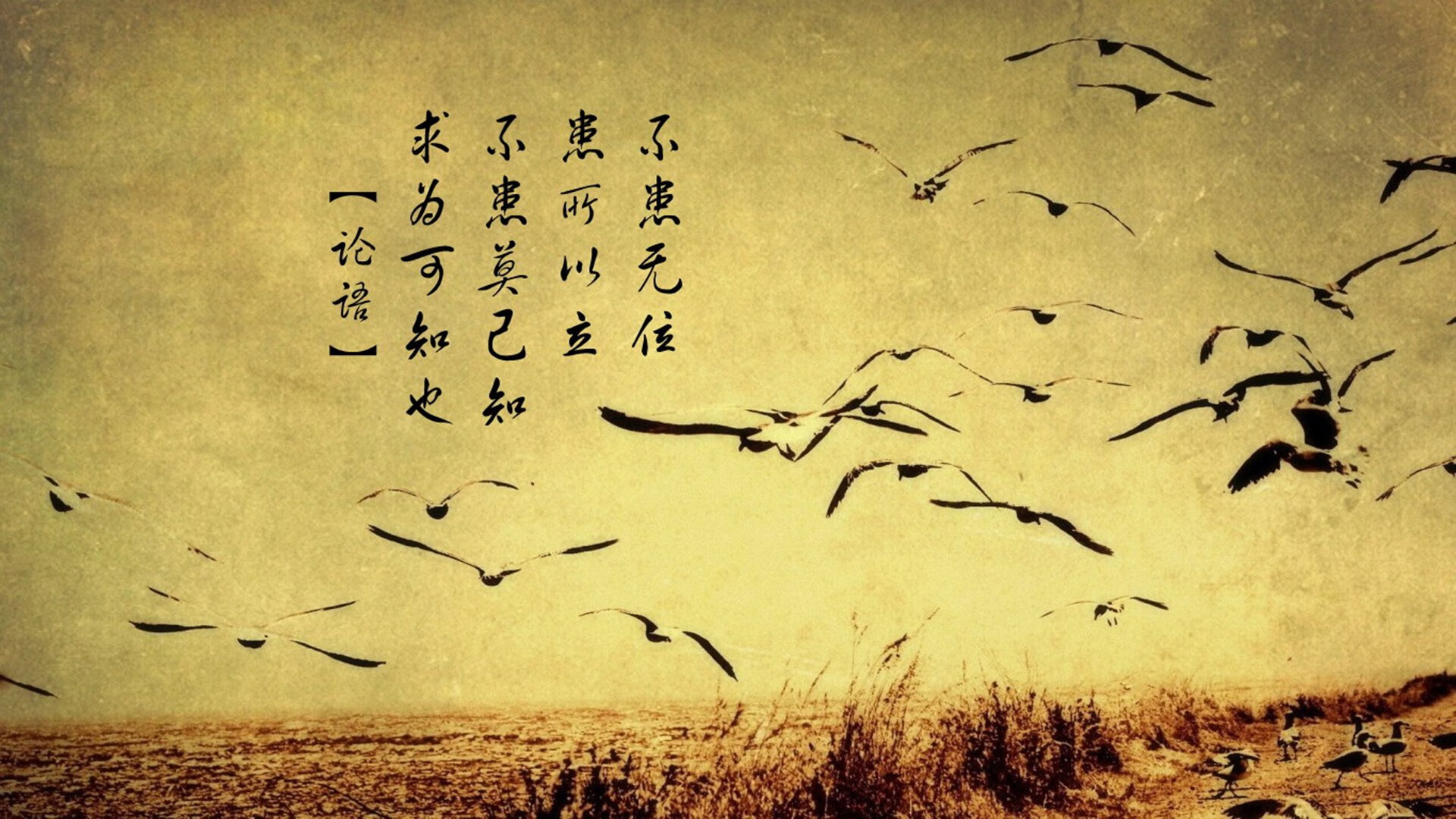 张三归队，球队实力大增备战新赛季CBA，张三比赛