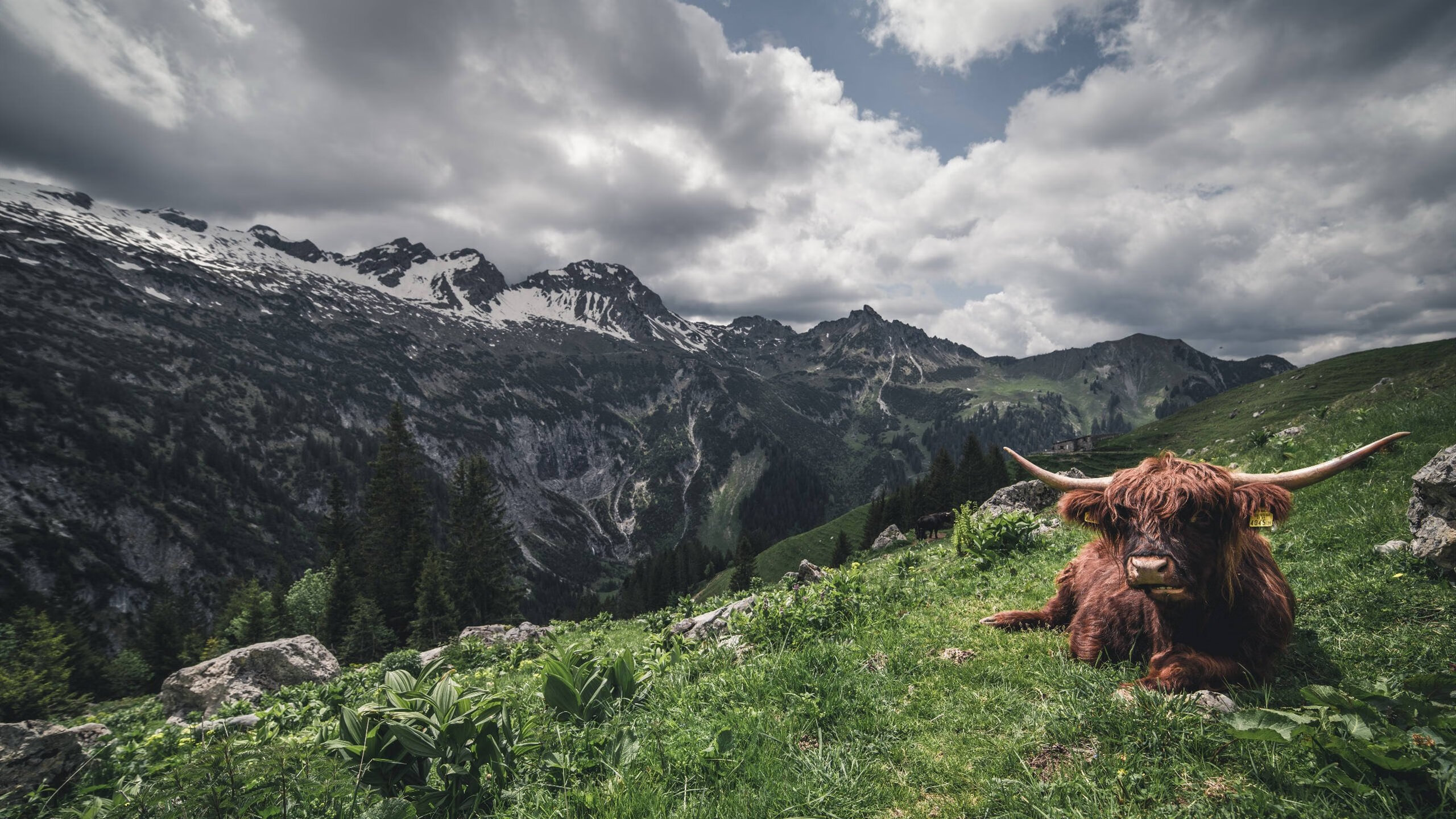 欧洲顶尖球队云集，一触即发的激战即将展开，欧洲著名球队
