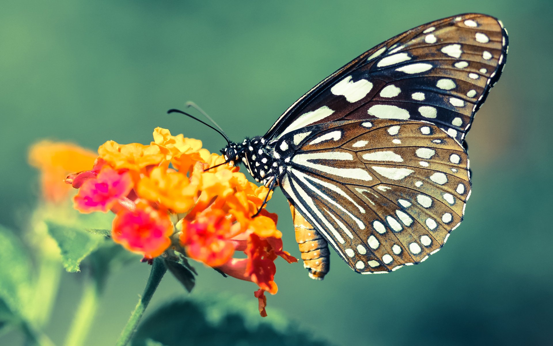 波鸿水手步履坚实，冲前砥砺前行，波鸿集团官网