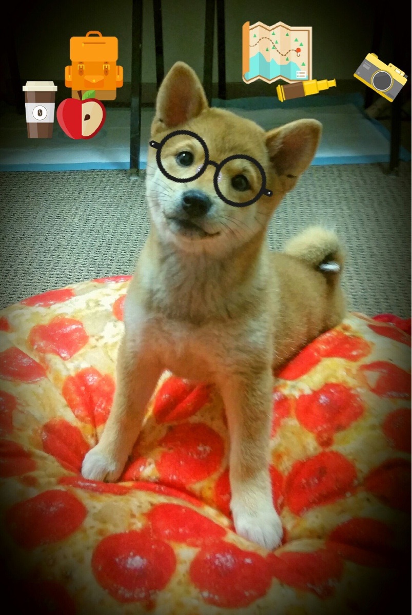 贝蒂斯苦战打出平局，与对手握手言和，贝蒂斯球队属于什么级别