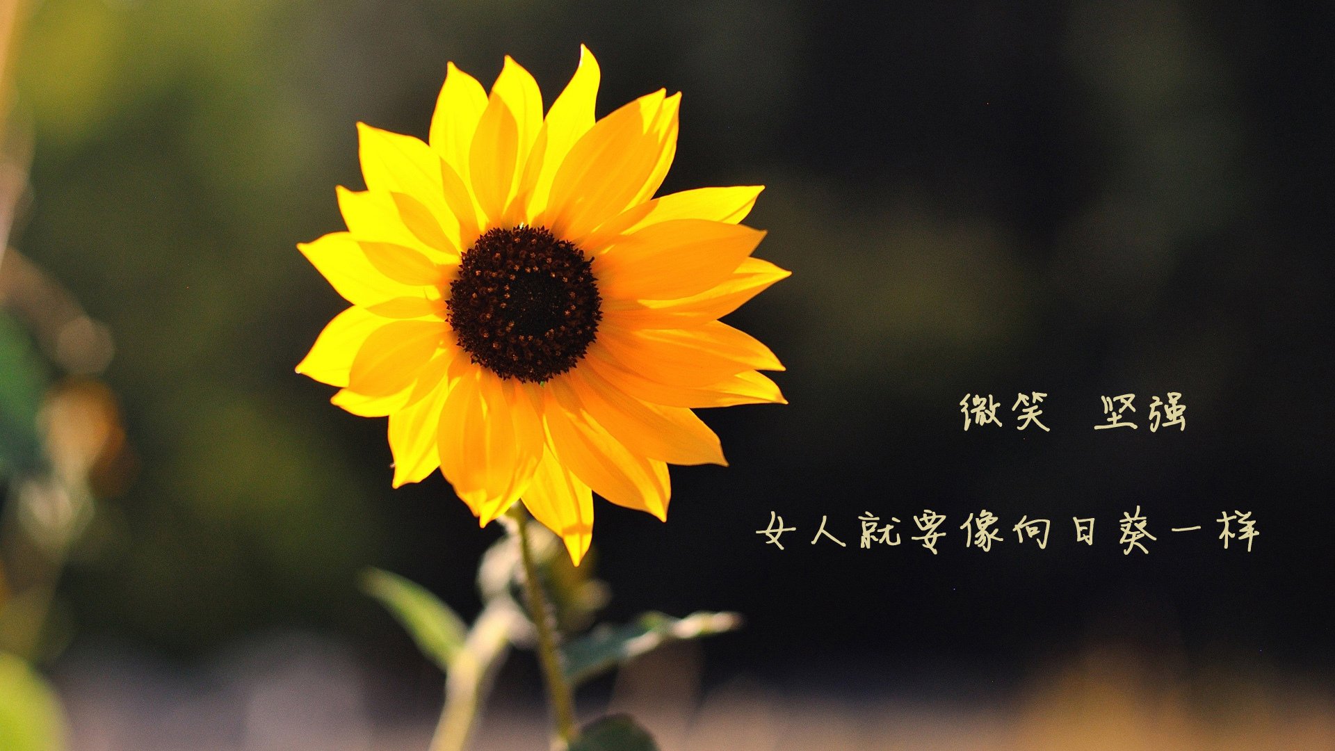 贝阿特丽斯·切贝特在巴黎奥运会夺得5000米和10000米金牌，将切奥贝特