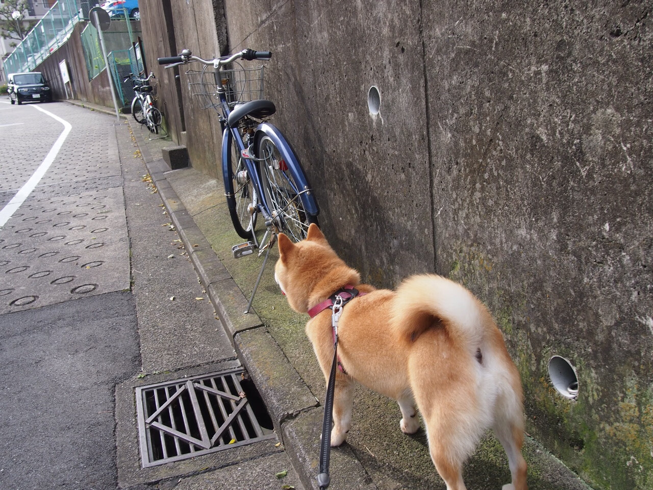 法甲球队通过数据可视化辅助战术决策的实践研究