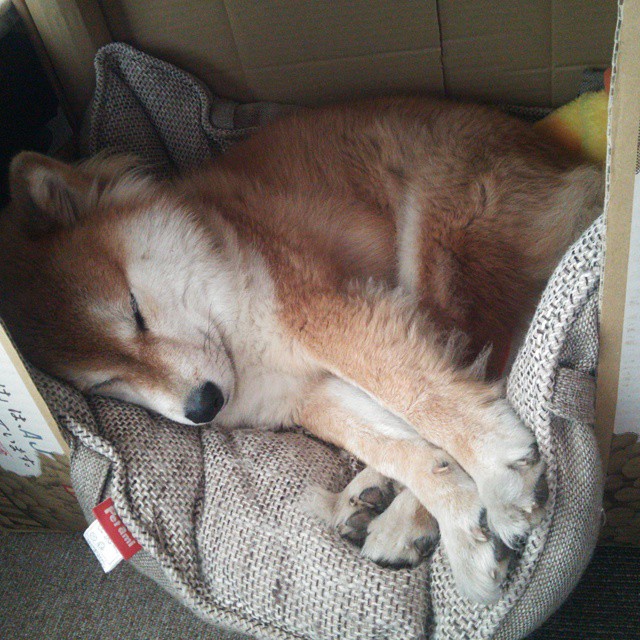 内线传球配合是否决定禁区得分效率，内线接球技巧