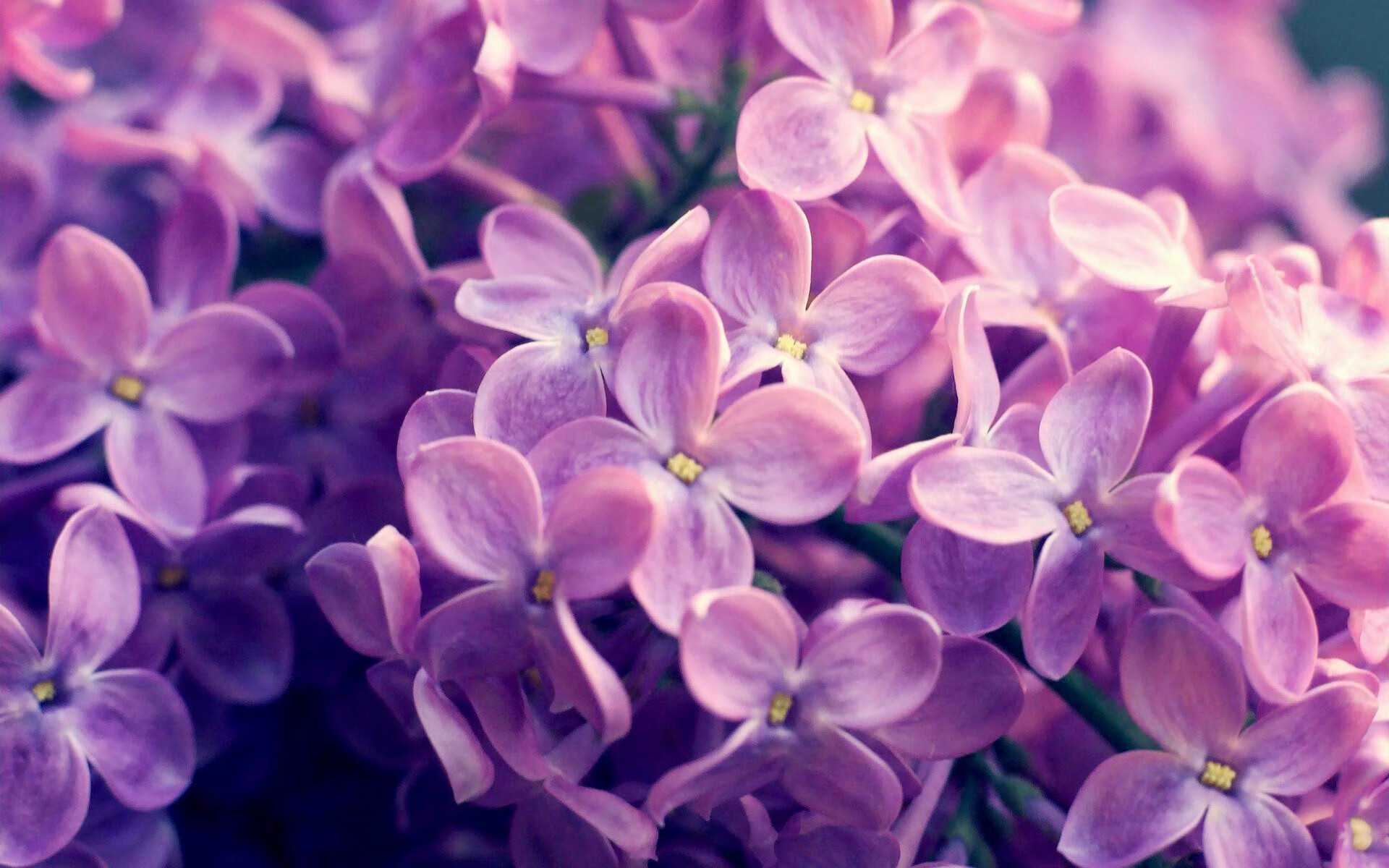 教练发展论坛聚焦后备人才梯队搭建，教练培养体系